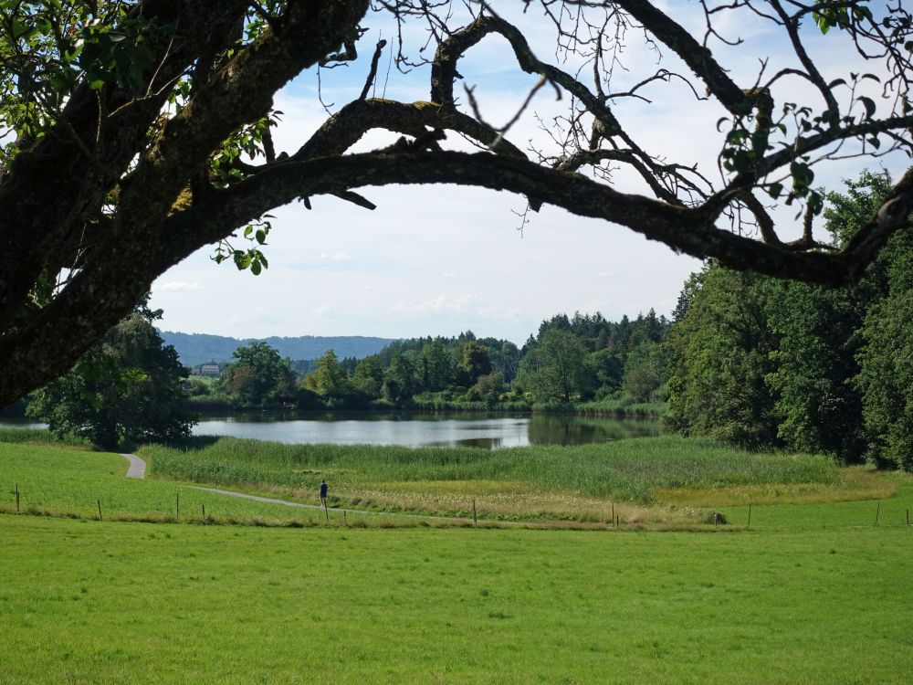 Bergweiher