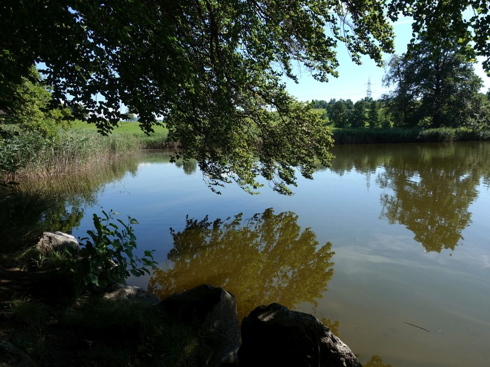 Bergweiher