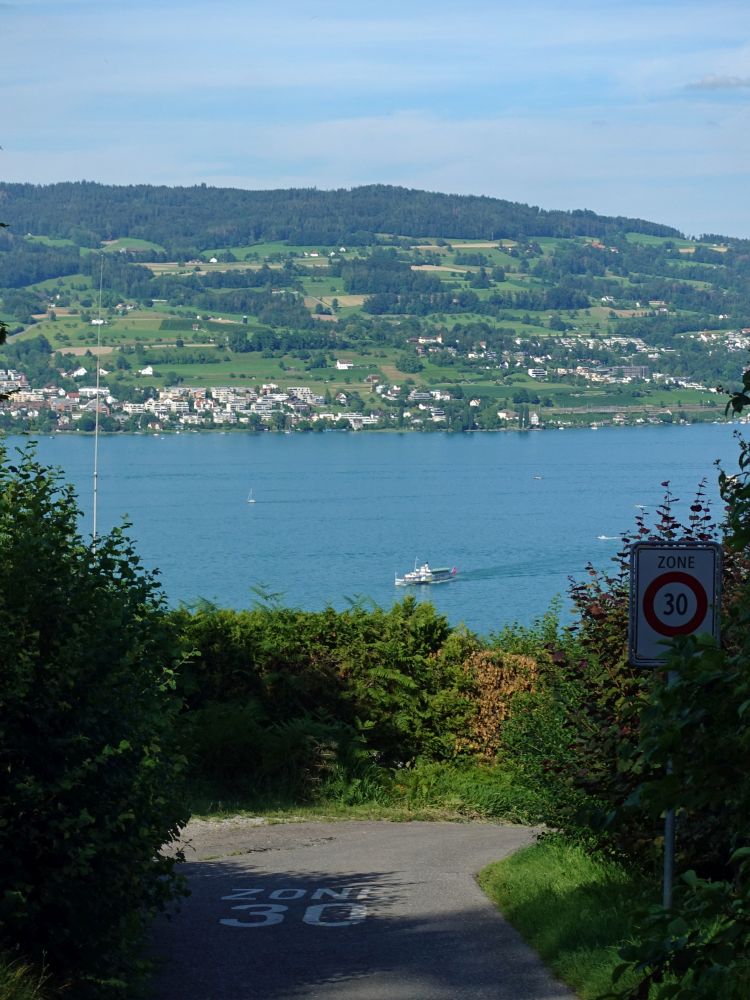 Zürichsee