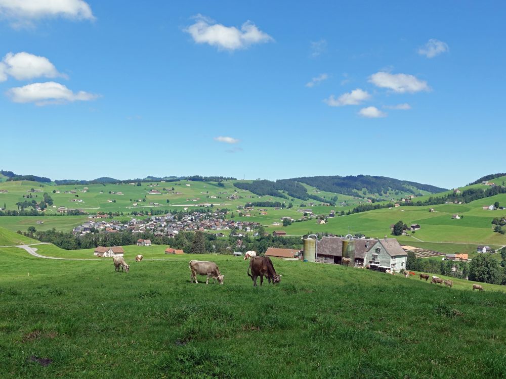 Bauernhof über Weissbad