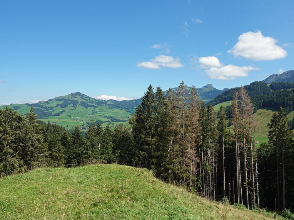 Fähnerenspitz und Hoher Kasten