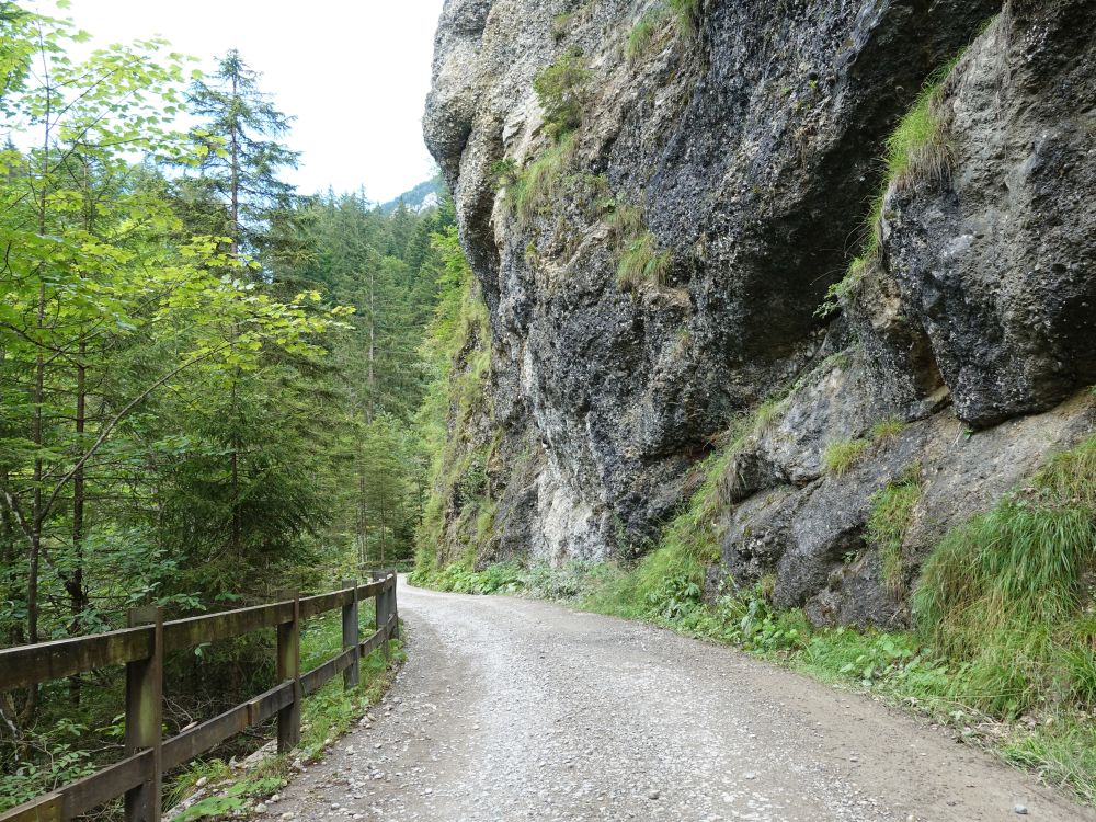 Weg überm Leuenfall