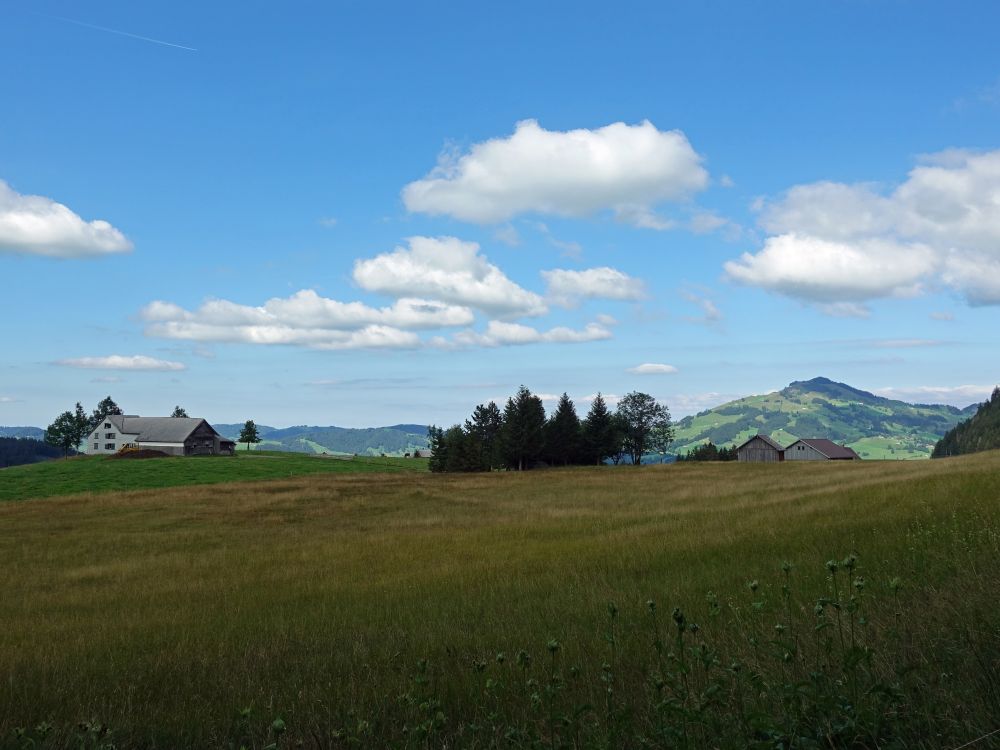 Erstböhl und Fähnerenspitz