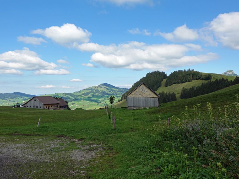 Erstböhl und Fähnerenspitz