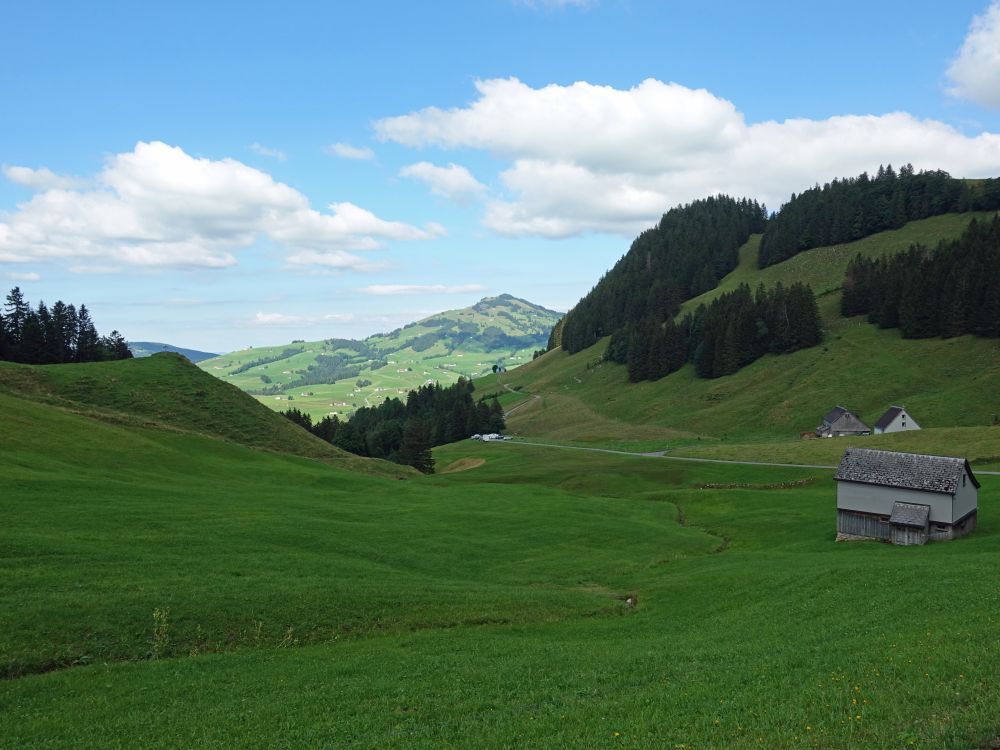 Erstböhl und Fähnerenspitz