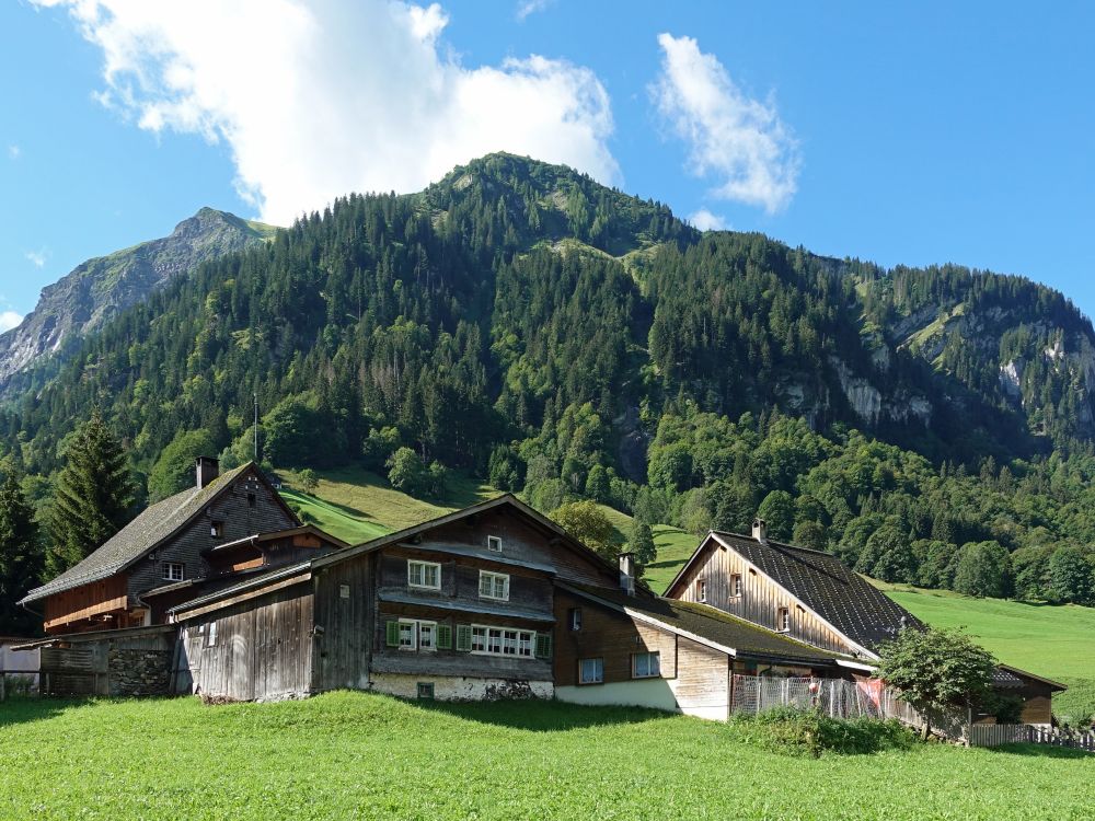 Haus in Weisstannen