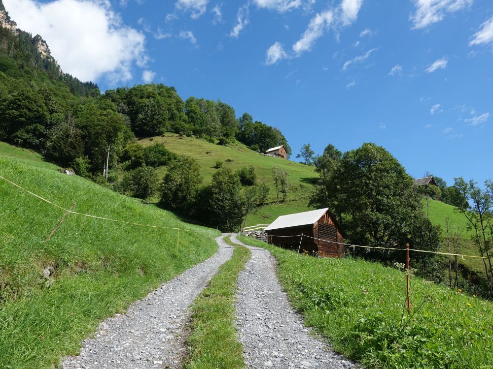 Weg in Oberschwendi