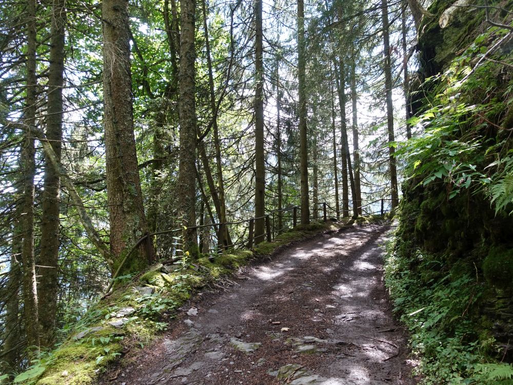 Weg Cherwald