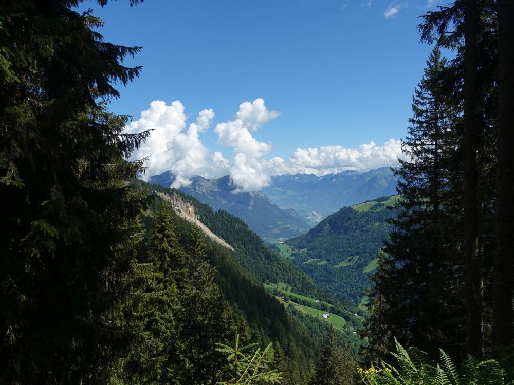 Weisstannental und Rheintal