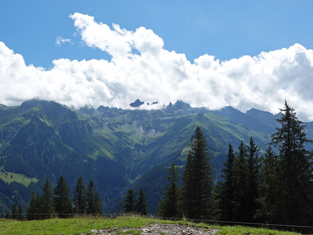 Graue Hörner in Wolken