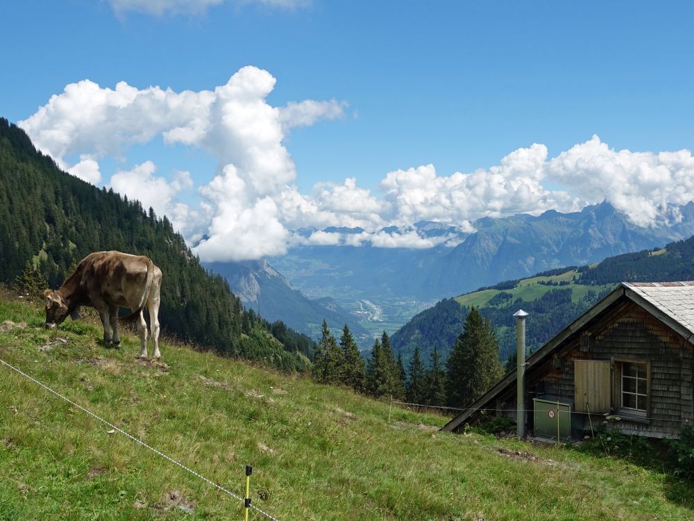 Blick ins Rheintal