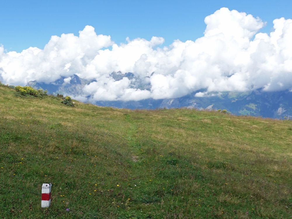 Wiesenpfad und Churfirsten in Wolken