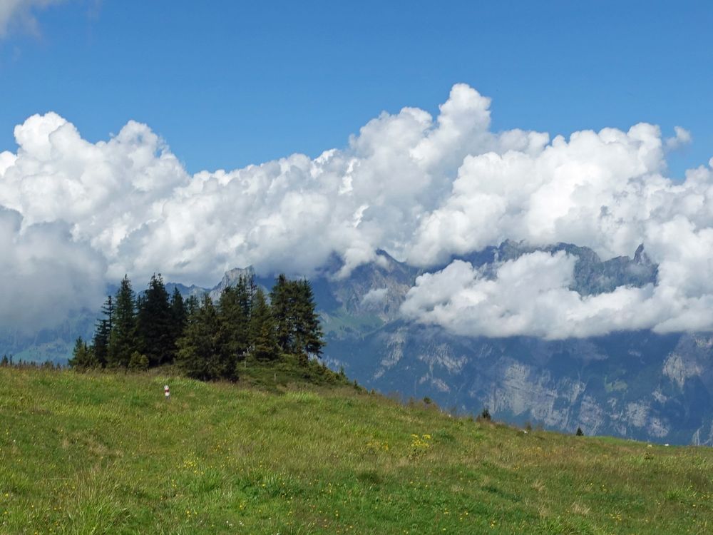 Churfirsten in Wolken