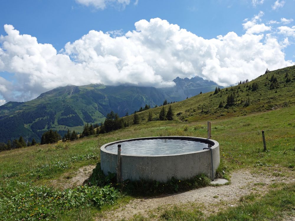 Wassertrog und Graue Hörner