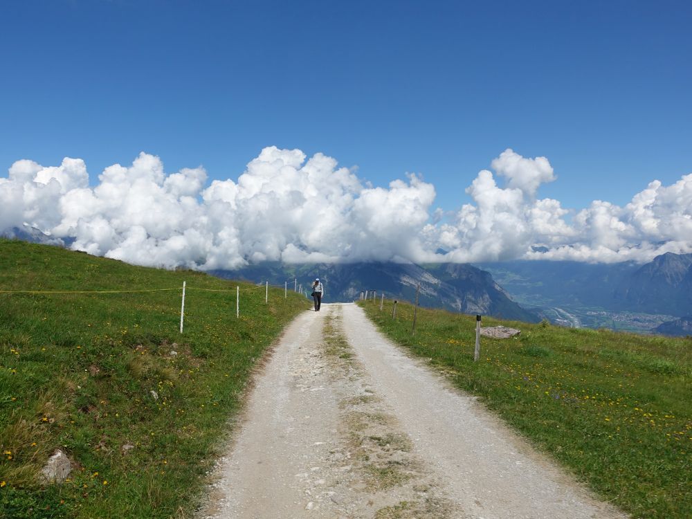 Wirtschaftsweg bei Chaltbad