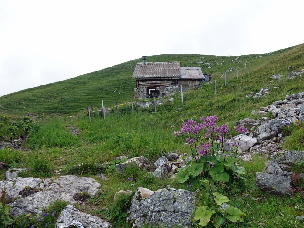 Hütte bei Vorder Mad