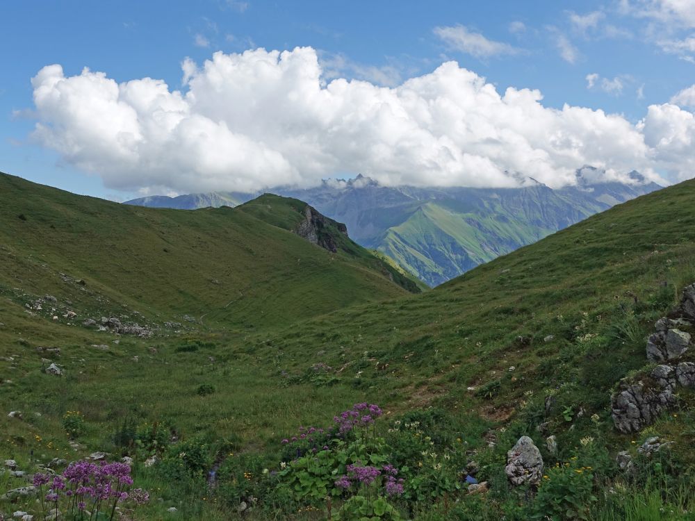 Graue Hörner unter den Wolken