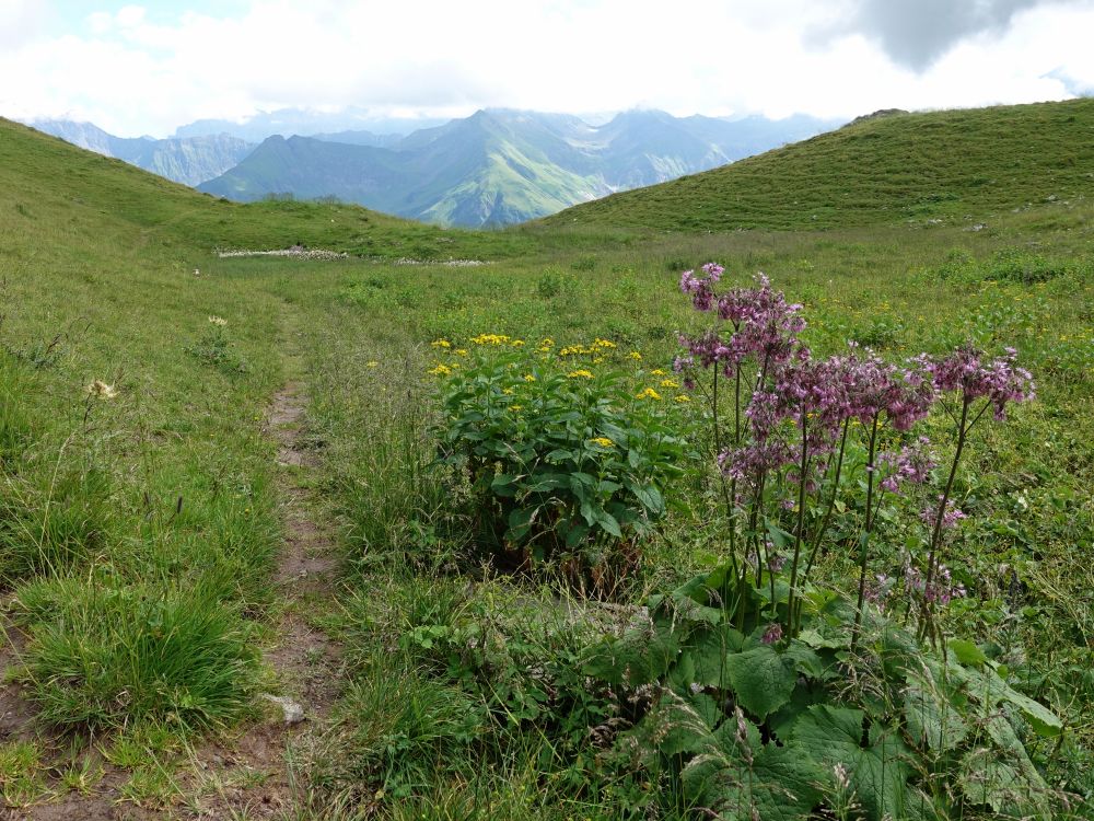 Wiesenpfad bei Vorder Mad