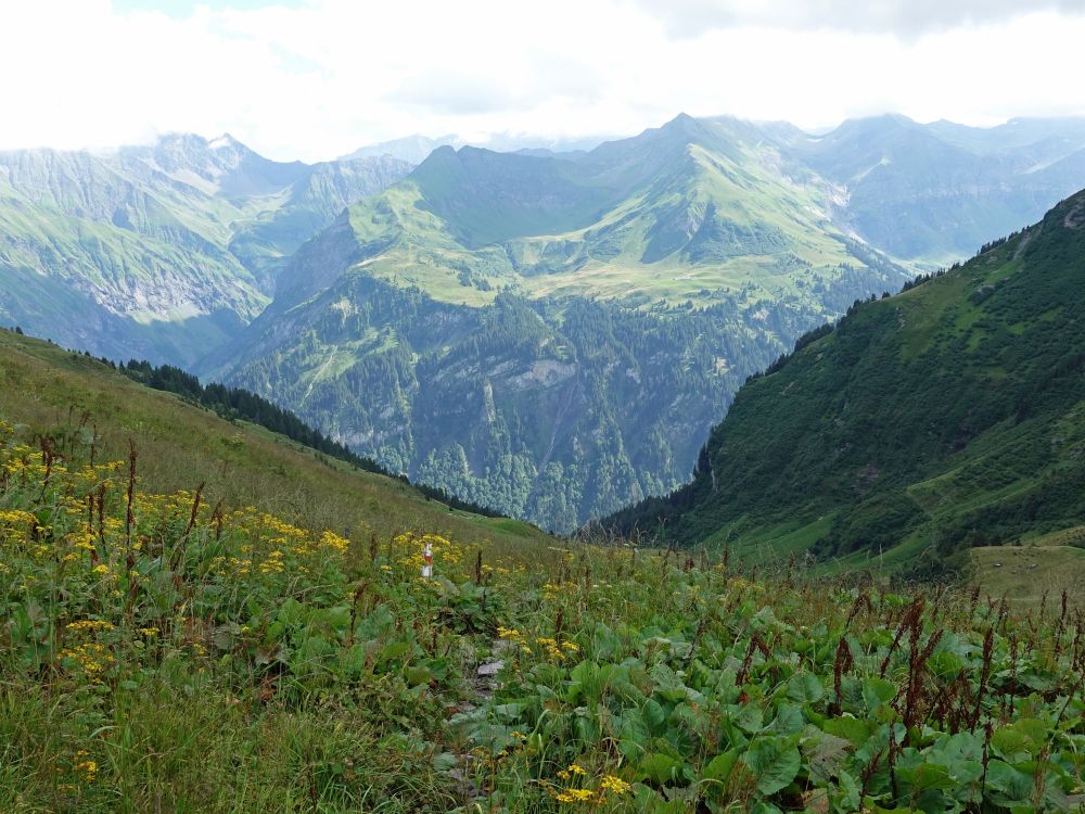 Blick zur Alp Valtnov