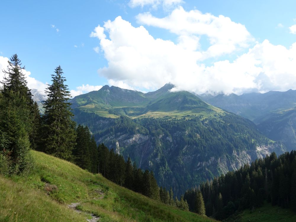 Blick zur Alp Valtnov