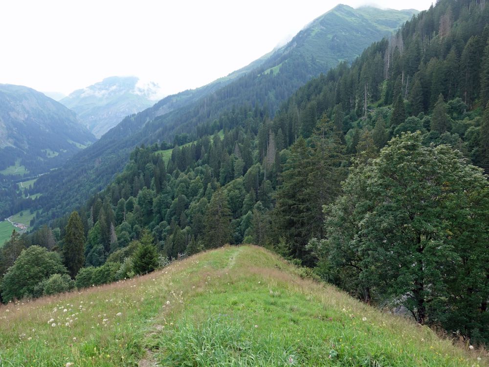 Wiesenpfad  bei Untergalans