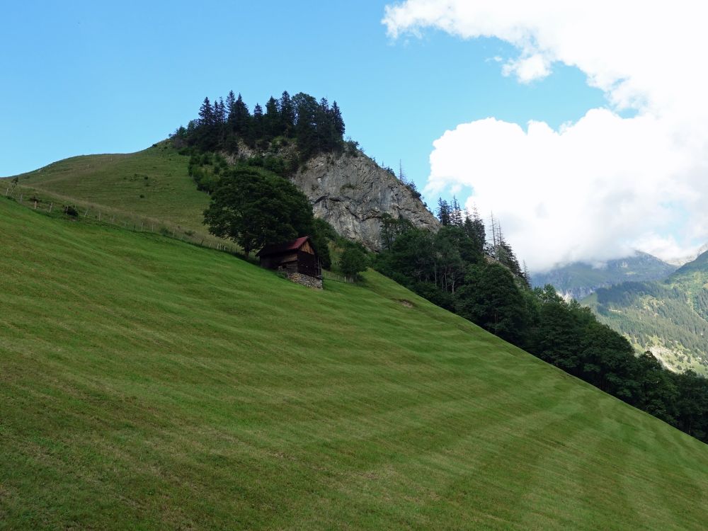 steile Wiese bei Oberrüti