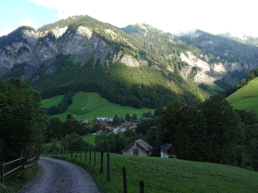 Weisstannen und Zipfchopf