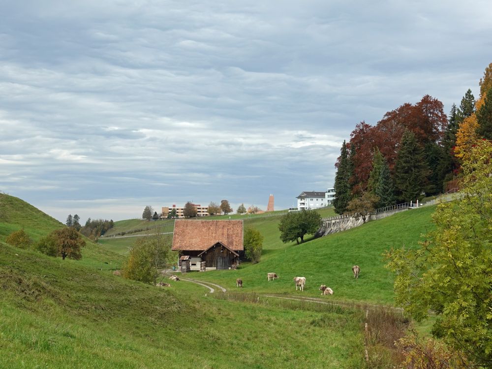 Bauernhof am Edlibach