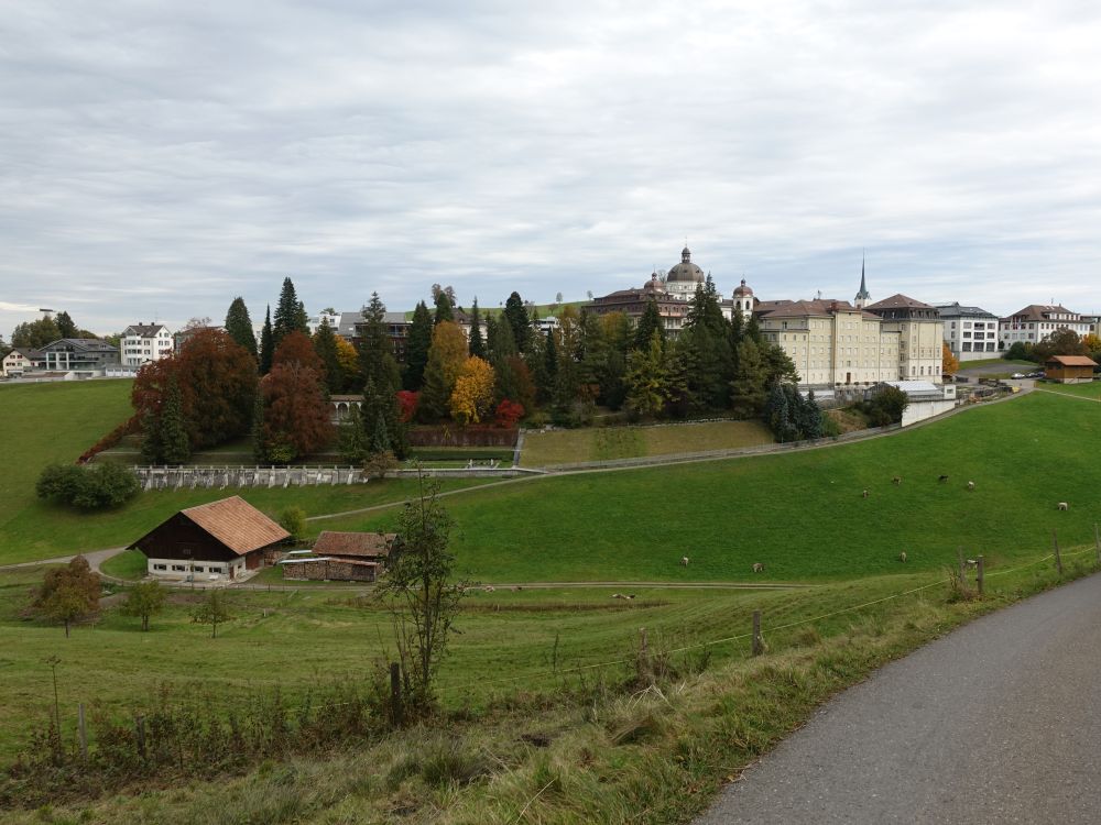 Kloster Menzingen