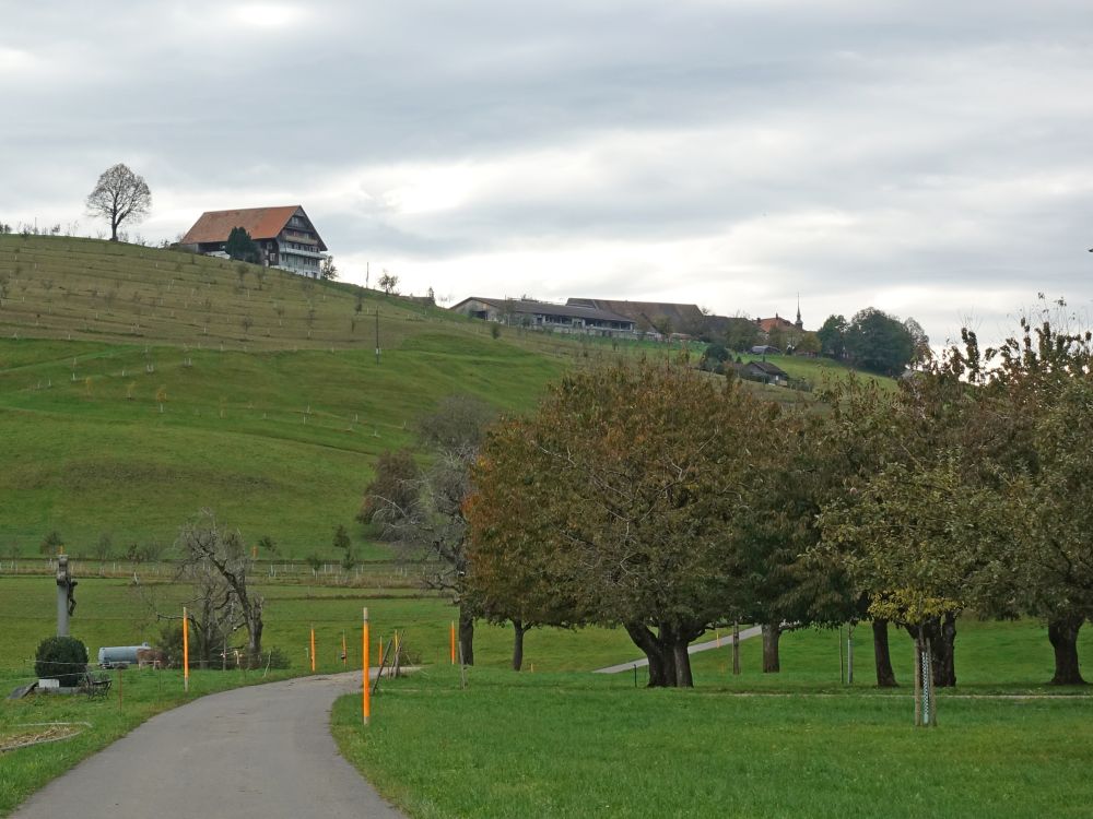 Schönalp und Gubel