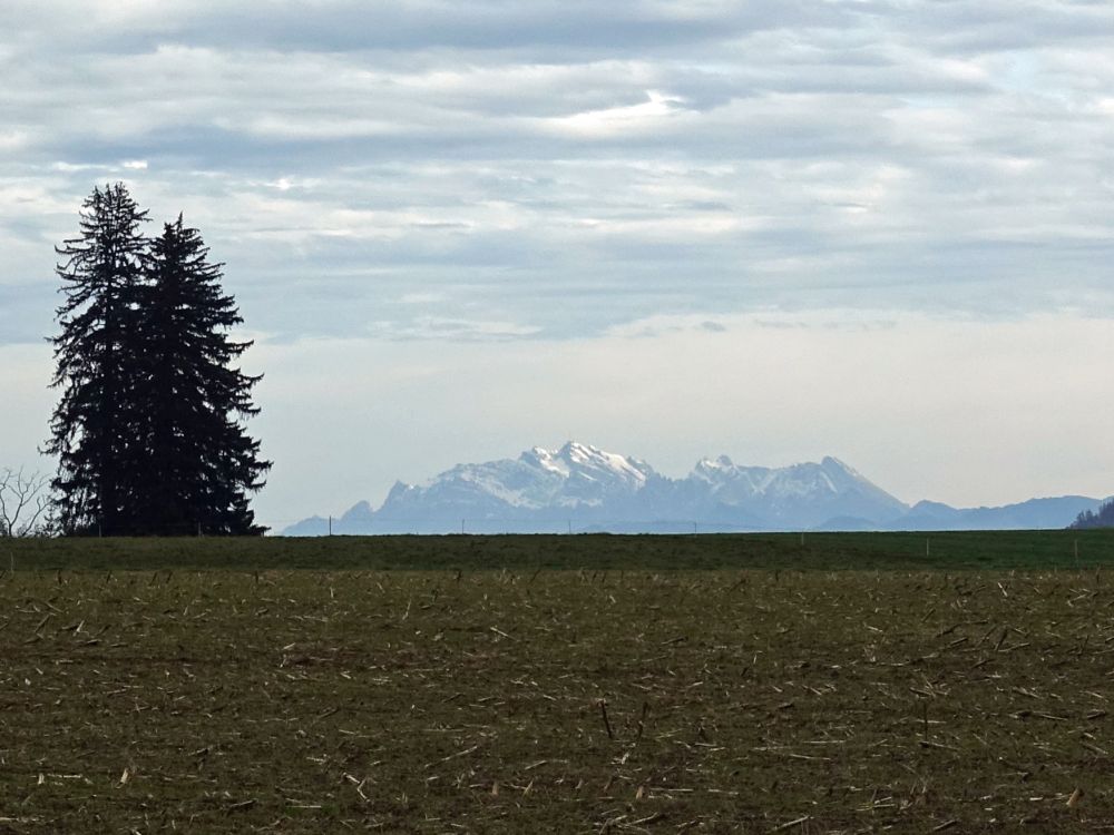 Alpstein mit Säntis