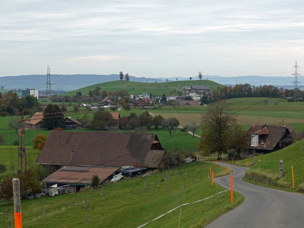 Bolzli im Vordergrund