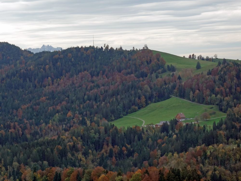 Pilatus am Horizont