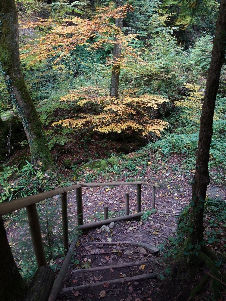 Treppe am Höllbach