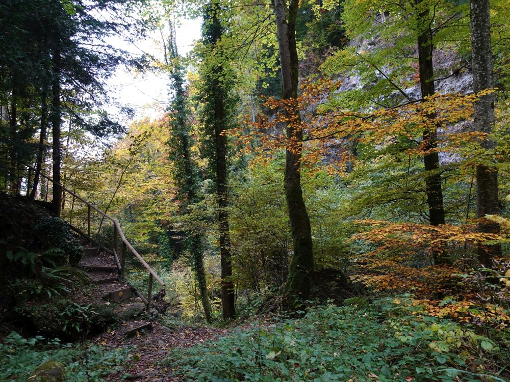 Treppe am Höllbach