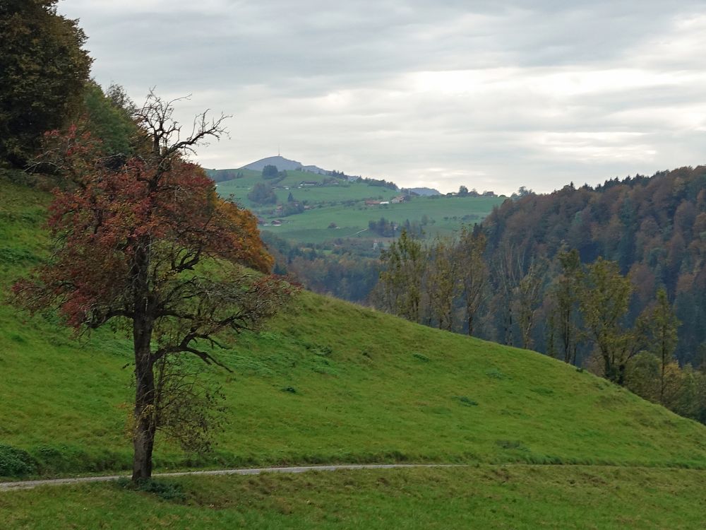 Rigi am Horizont