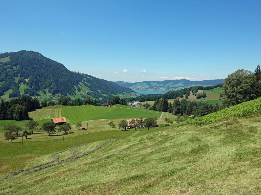 Blick Richtung Ägerisee