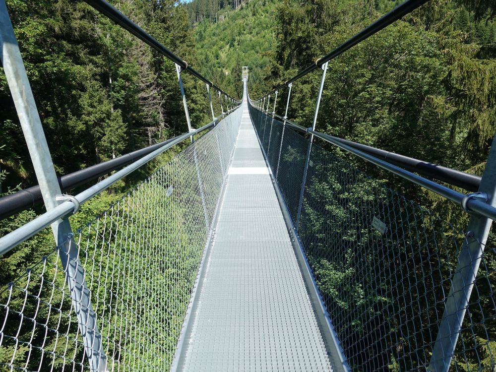 Skywalk Mostelberg