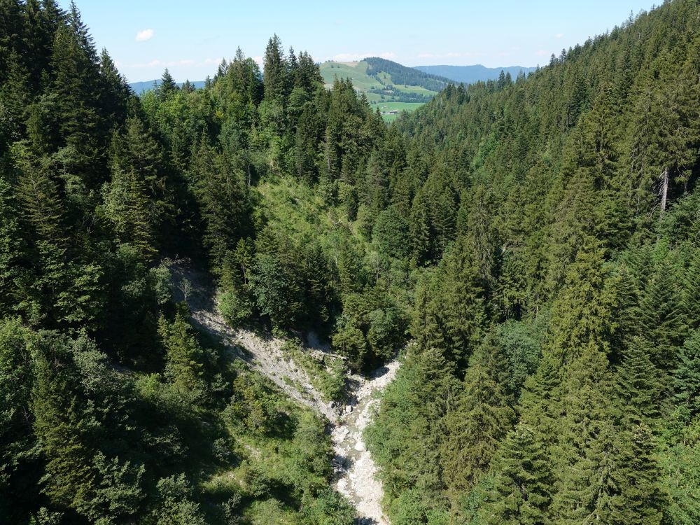 Blick in den Lauitobel von der Hängebrücke