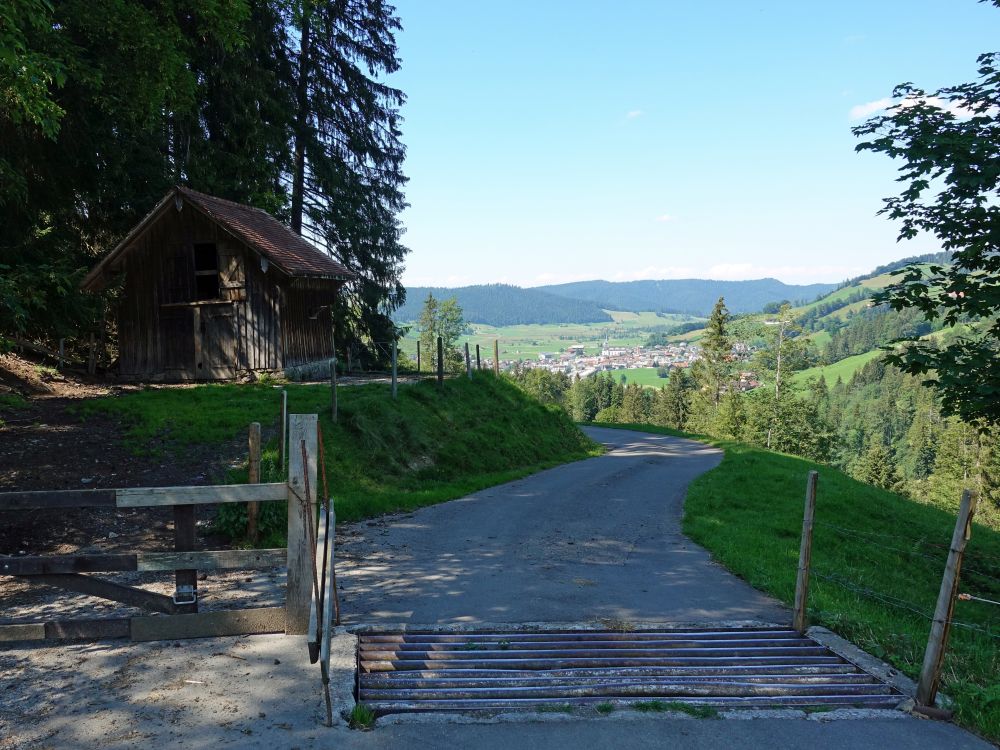 Weg mit Blick auf Rothenthurm