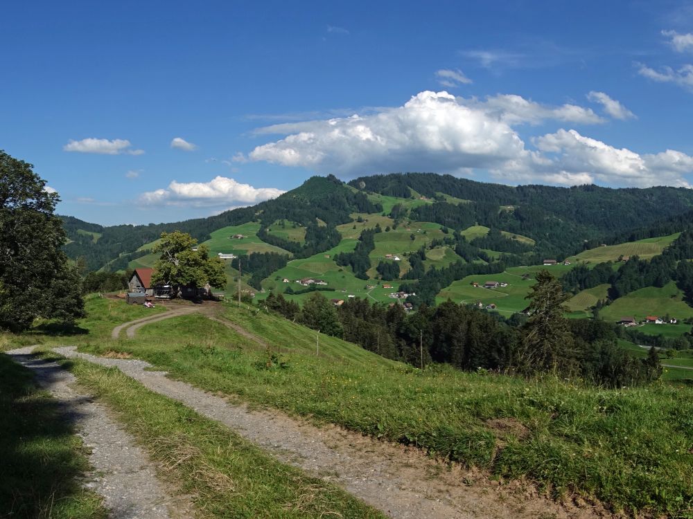 Geismoosweid und Nüsellstock