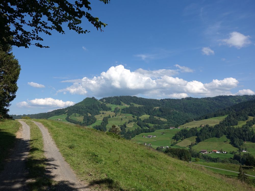 Bergweg über Geismoosweid