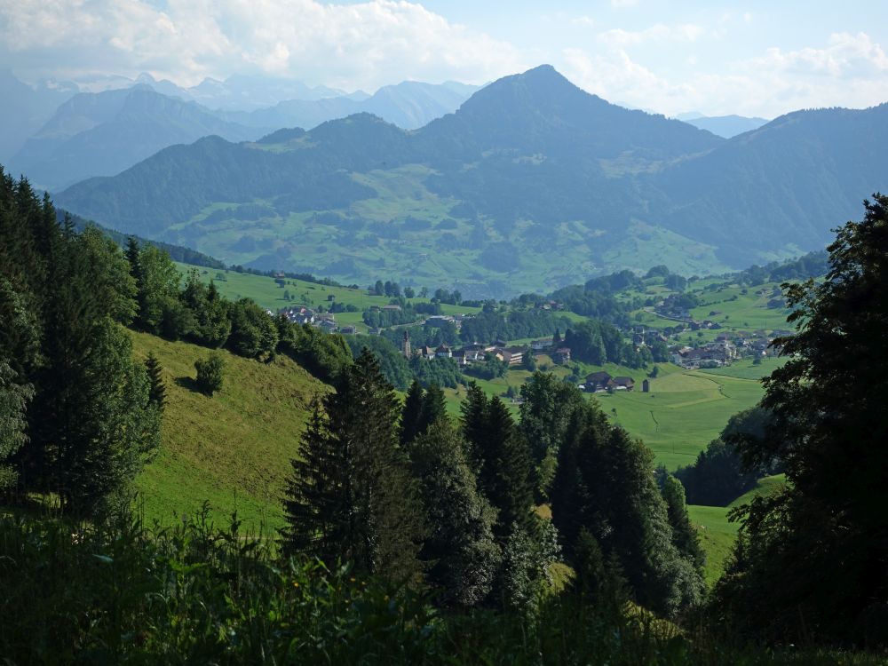 Sattel und Rigi-Hochflue