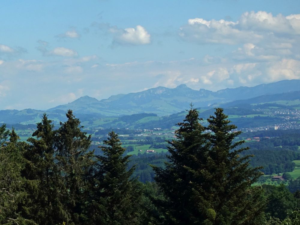 Fähnerenspitz, Kamor und Hoher Kasten