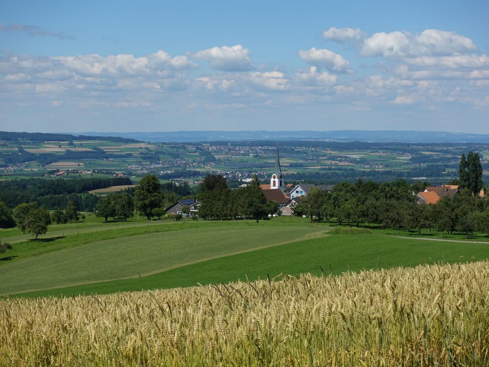 Blick Richtung Wuppenau