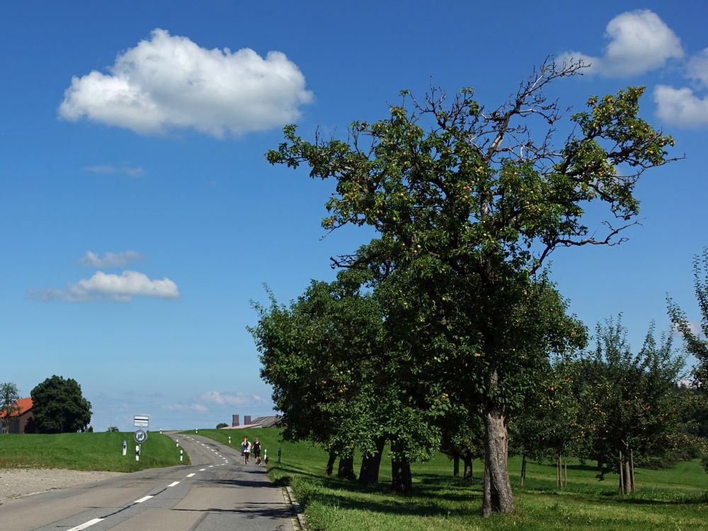 Strasse bei Rudenwil