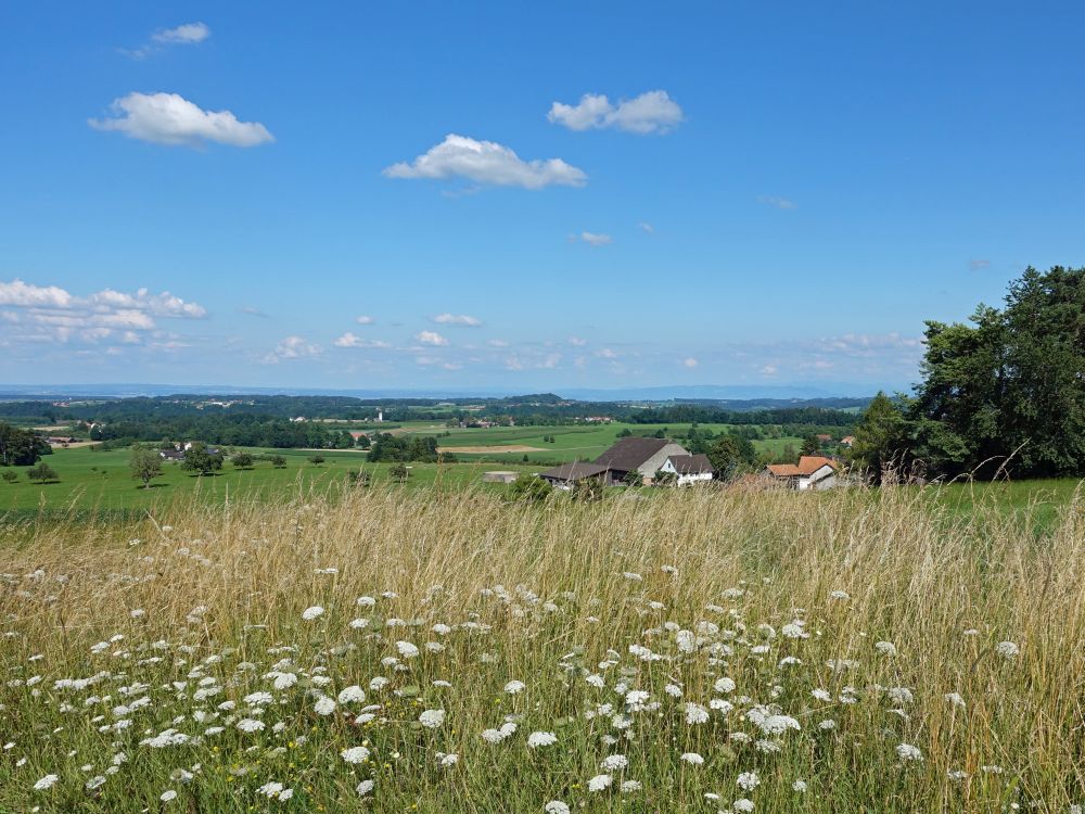 Blick Richtung Dietenwil