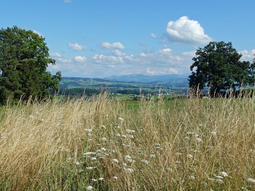 Blick zu Kamor und Hoher Kasten