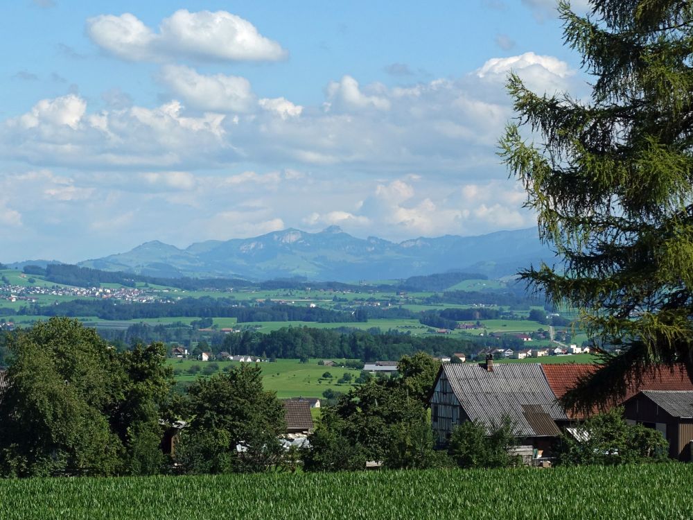 Fähnerenspitz, Kamor und Hoher Kasten