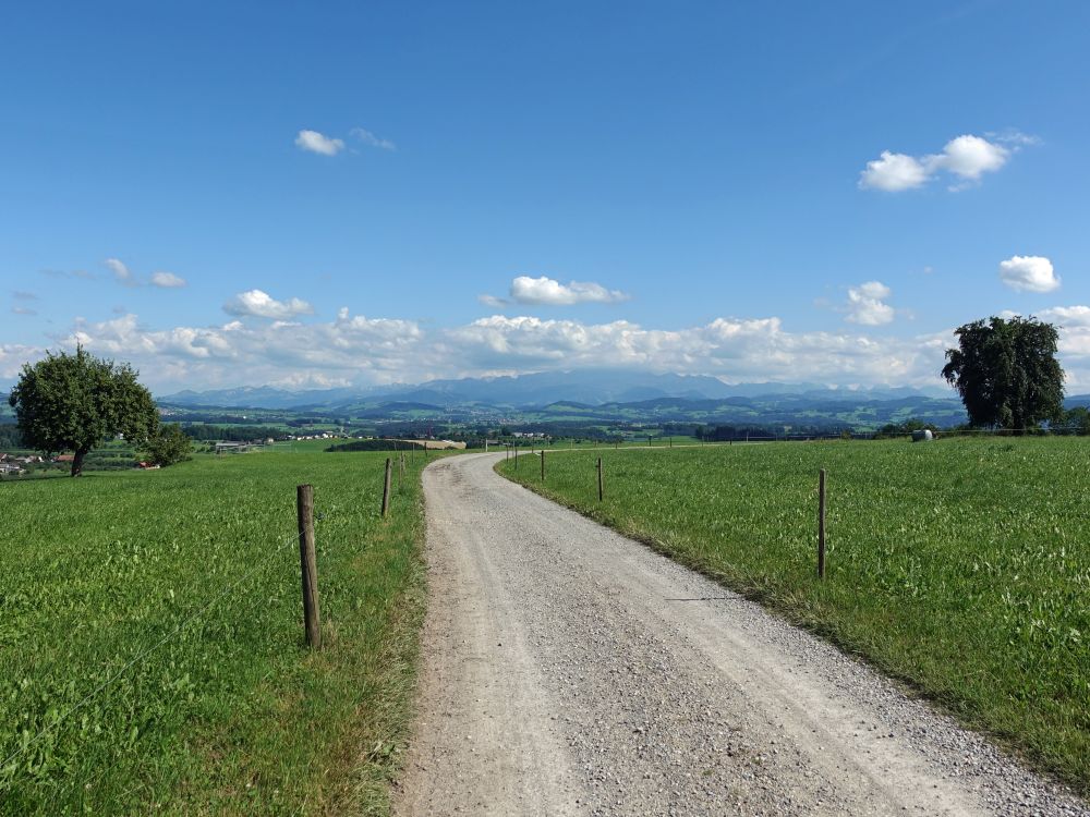 Blick Richtung Säntis